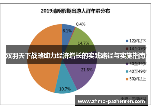 双羽天下战略助力经济增长的实践路径与实施指南