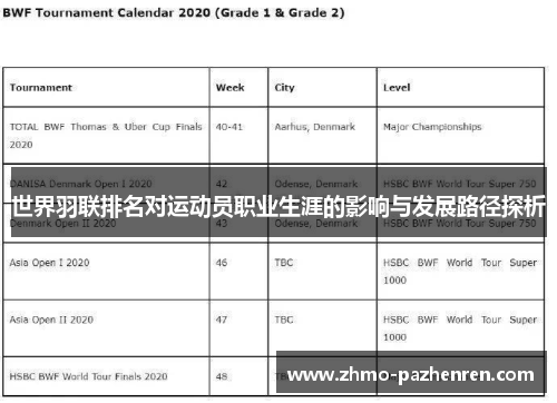 世界羽联排名对运动员职业生涯的影响与发展路径探析 世界羽联排名对运动员职业生涯的影响与发展路径探析