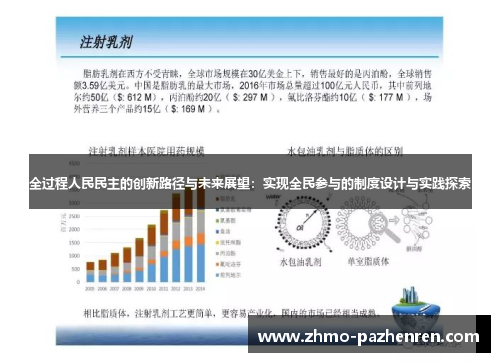 全过程人民民主的创新路径与未来展望：实现全民参与的制度设计与实践探索