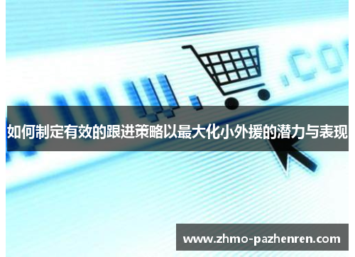 如何制定有效的跟进策略以最大化小外援的潜力与表现