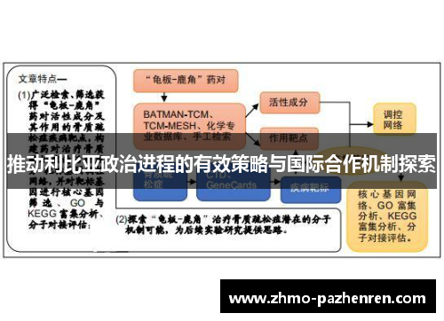 推动利比亚政治进程的有效策略与国际合作机制探索
