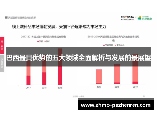 巴西最具优势的五大领域全面解析与发展前景展望
