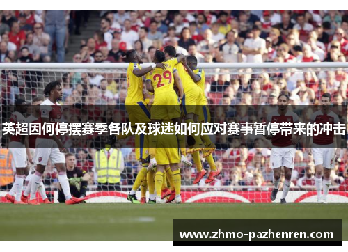 英超因何停摆赛季各队及球迷如何应对赛事暂停带来的冲击 英超因何停摆赛季各队及球迷如何应对赛事暂停带来的冲击