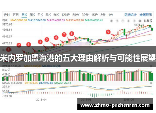 米内罗加盟海港的五大理由解析与可能性展望