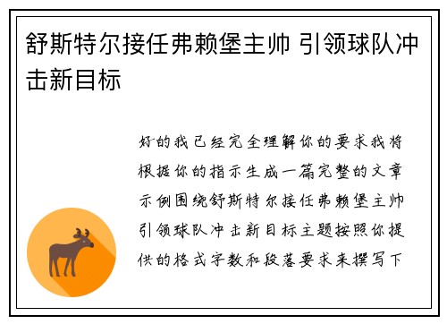 舒斯特尔接任弗赖堡主帅 引领球队冲击新目标